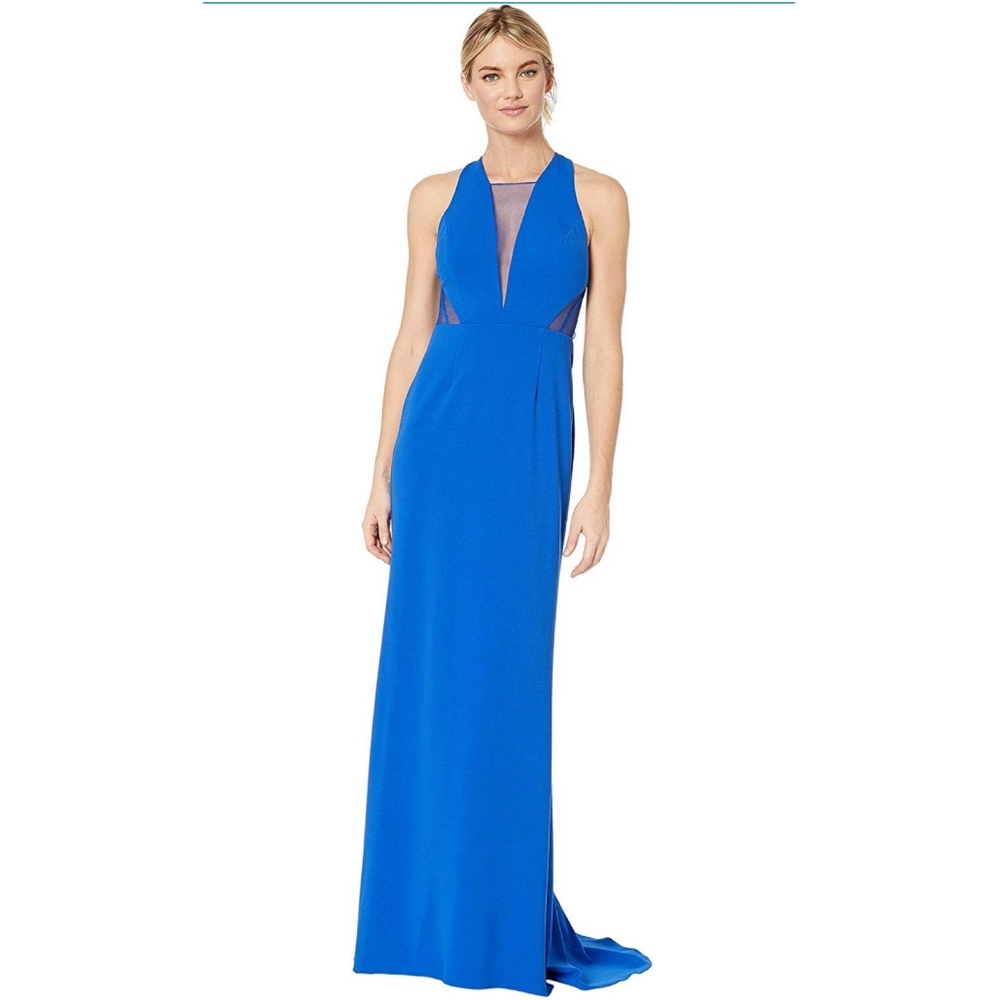 Adrianna Papell Long Jersey Gown w/ Mesh